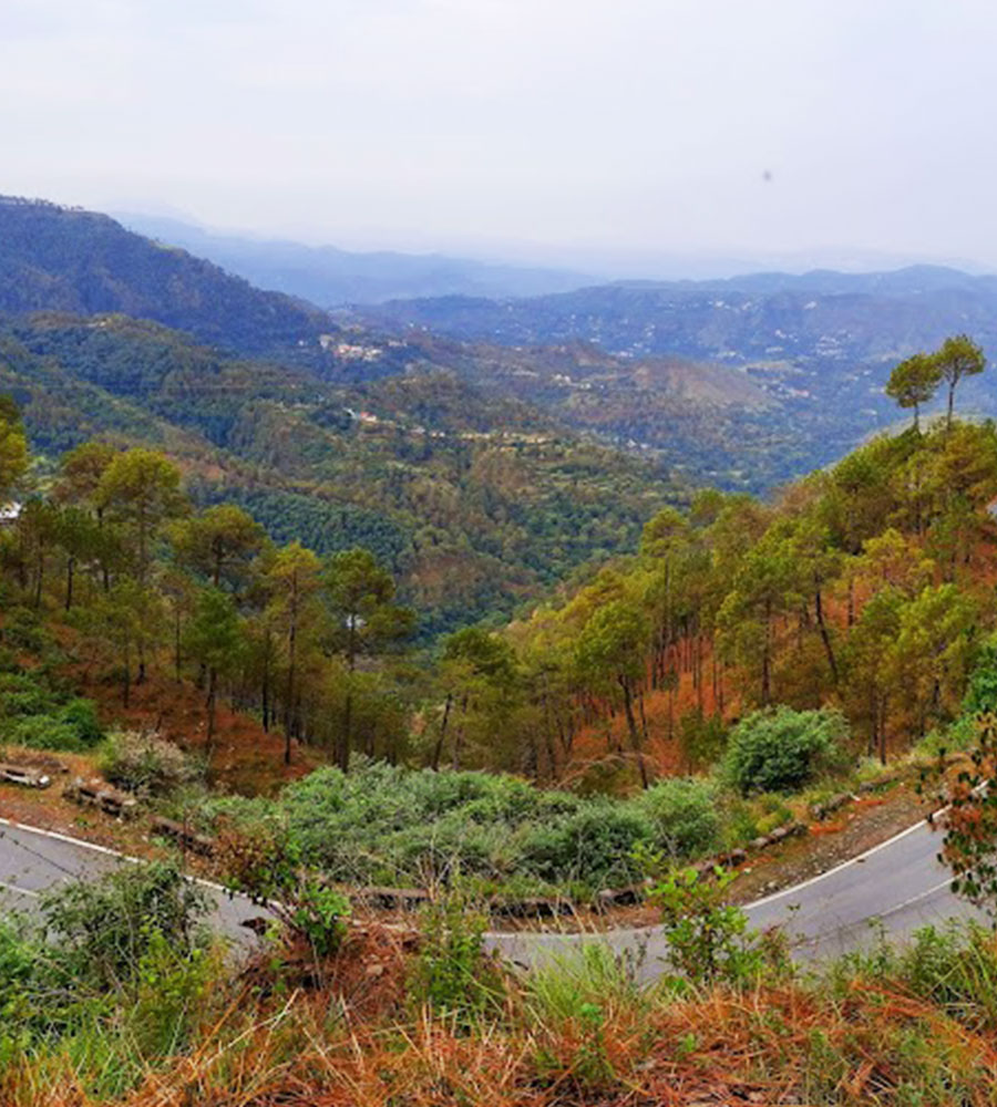 Him Aashrey by Lotus Inn, Shimla